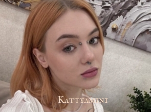 Kattyamini