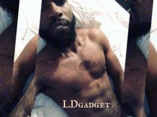 LDgadget