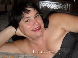 Lilly377