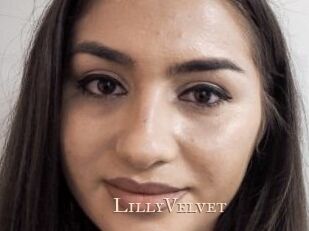 LillyVelvet