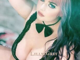 LillyyGrey