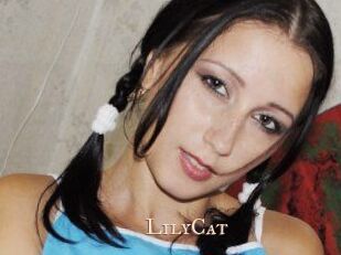 Lily_Cat_