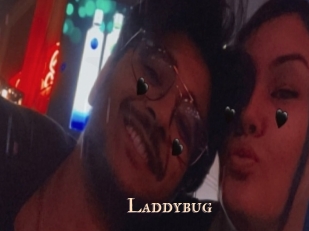 Laddybug