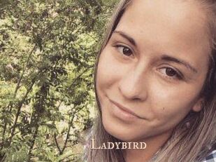 Ladybird
