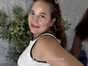Laurengrass