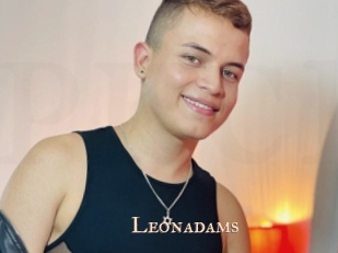 leonadams Pink Center Fold