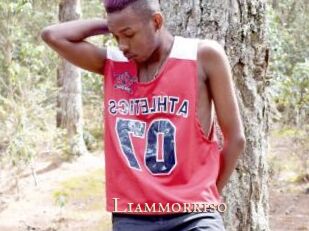 Liammorriso