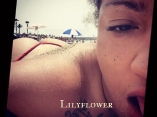 Lilyflower