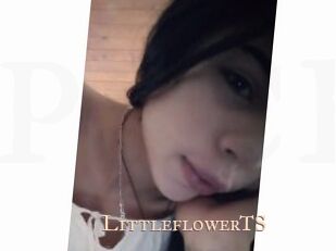 LittleflowerTS