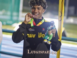 Luigispaez44
