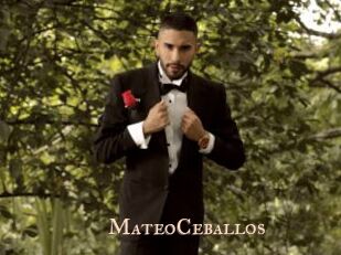 MateoCeballos