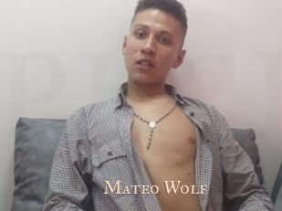 Mateo_Wolf