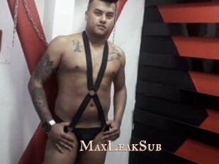 MaxLeakSub