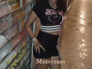 Meesteres
