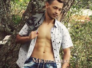 MiguelLarry
