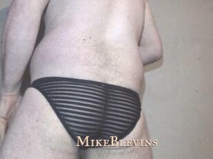 Mike_Blevins