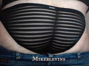 Mikeblevins