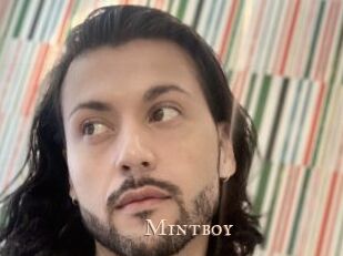 Mintboy