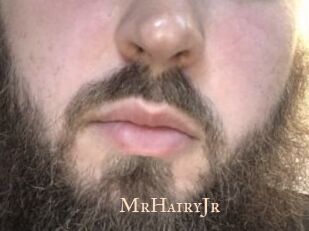 MrHairyJr