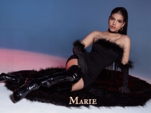 marie Pink Center Fold