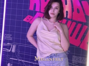 Meganfelt