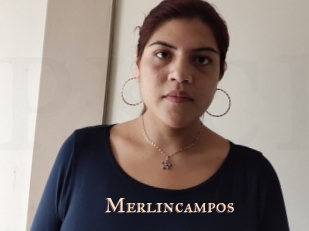 Merlincampos