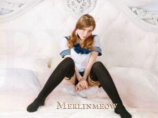 Merlinmeow