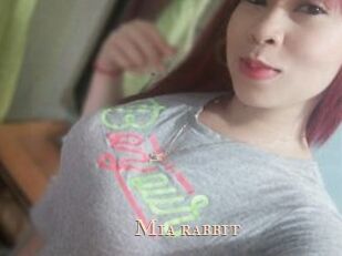 Mia_rabbit