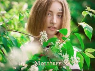 Mollieevans