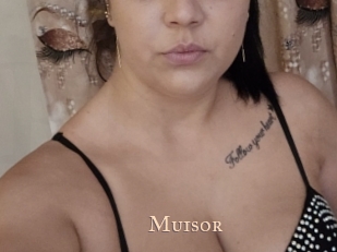 Muisor