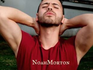 NoahMorton