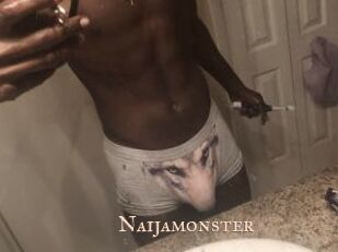 Naijamonster