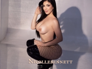 nicollebennett Pink Center Fold