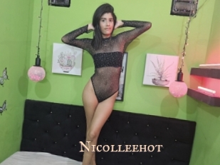 nicolleehot Pink Center Fold