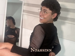 Noahsinn