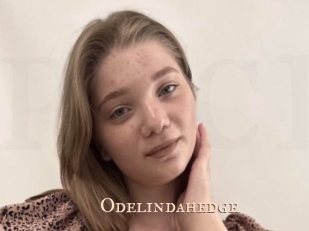 Odelindahedge