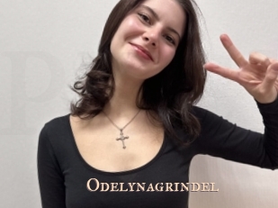 Odelynagrindel