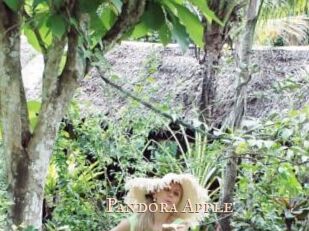 Pandora_Apple