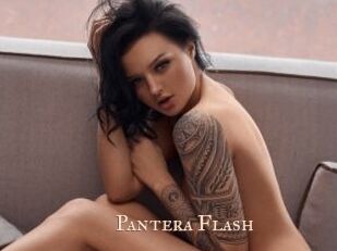 Pantera_Flash