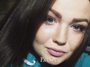 PatCat