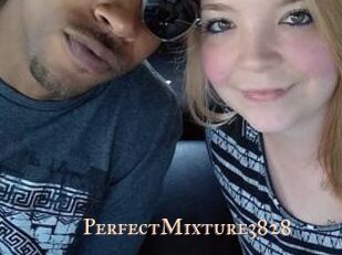 PerfectMixture3828