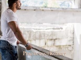 PerfectguyRobert