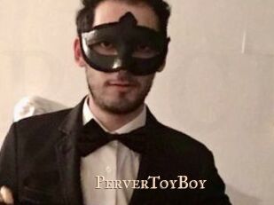 PerverToyBoy