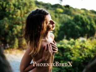 PhoenixBirdX