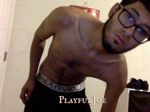 PlayfulJoe