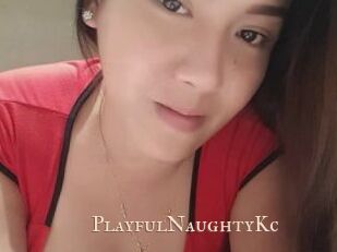 PlayfulNaughtyKc