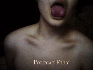 Polecat_Elly