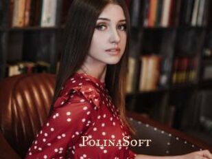 PolinaSoft