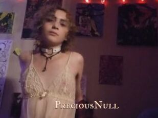 PreciousNull