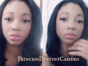 PrincessDestinyCamero
